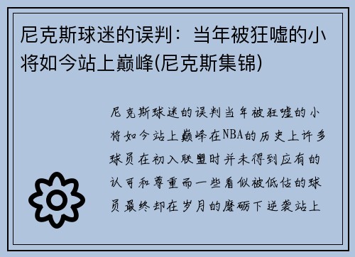 尼克斯球迷的误判：当年被狂嘘的小将如今站上巅峰(尼克斯集锦)